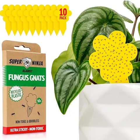 Super Ninja Fungus Gnat Traps - 10 Pack Ultra Sticky Non-Toxic Odourless Plant Fly Zapper for Home Pest Control