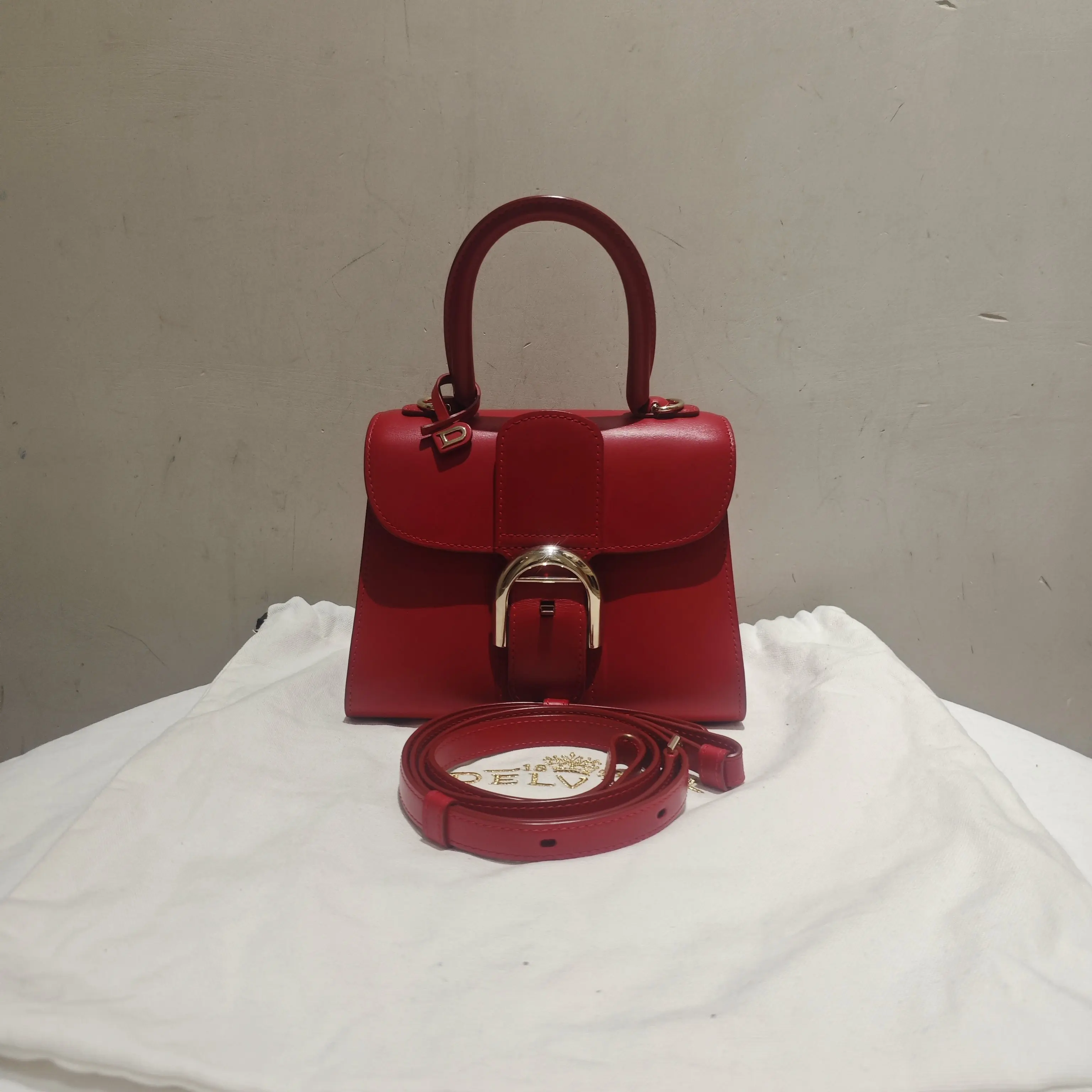 Pre-owned delvaux leather Shoulder Bags brilliant mini bag