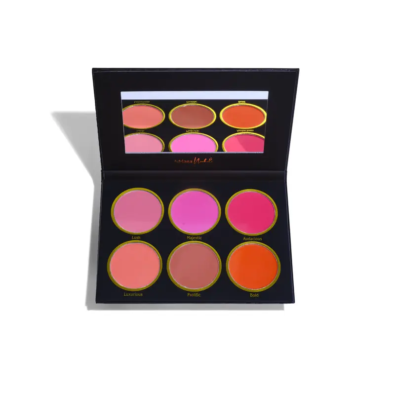 Powder Blush Palette by Adriana Nichole Cosmetics, Be Bold Mixable Cheek Color Makeup in Apricot, Tangerine, Watermelon, Fuchsia & Coral