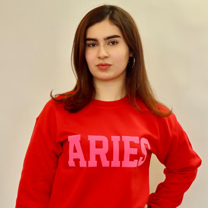 Sweatshirt: Red/Pink Combo Puff Print (Limited Edition) Astrology Apparel