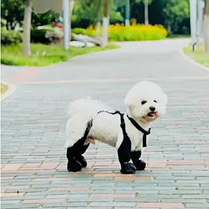 Dog Waterproof Non-Slip Pet Shoes for Paws, Durable Tpr Rubber for All Seasons, Protective Footwear for Outdoor Rainy and Snowy Walks