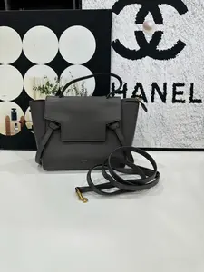 Pre-owned Celine Grey Gold Buckle Nano Belt Bag No Code