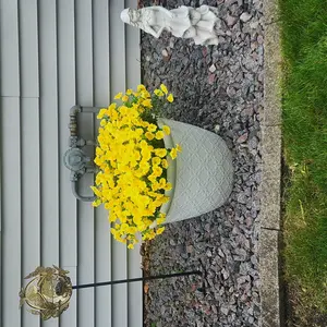 review image 6