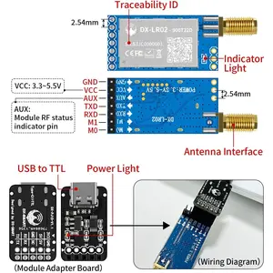DX-LR02 Development Kit Easy to use 868/915MHz LoRa ASR6601 with Antenna AT Commands Uart Interface Long Range 5KM 22dBm Transceiver Wireless Module for Arduino