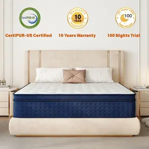 10/12/14 Inch Twin, Full, Queen, King  Memory Foam And Spring, Hybrid  Medium Firmness,Motion Isolation and Firm Edges， Breathable Spring   ,Ergonomic queen size  Interior Modern，For Home Rooms Hotels fort able Pocket Coil Mattress modern