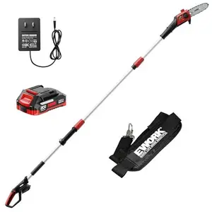 EWORK Electric Pole Saws for Tree Trimming 20V 8-Inch Cordless Pole Chainsaw 6.5 Lbs, Extension to 14.2-Ft, Auto Oiling Pole Saw Battery Powered with Battery & Fast Charger for Branch Pruning & Pruner