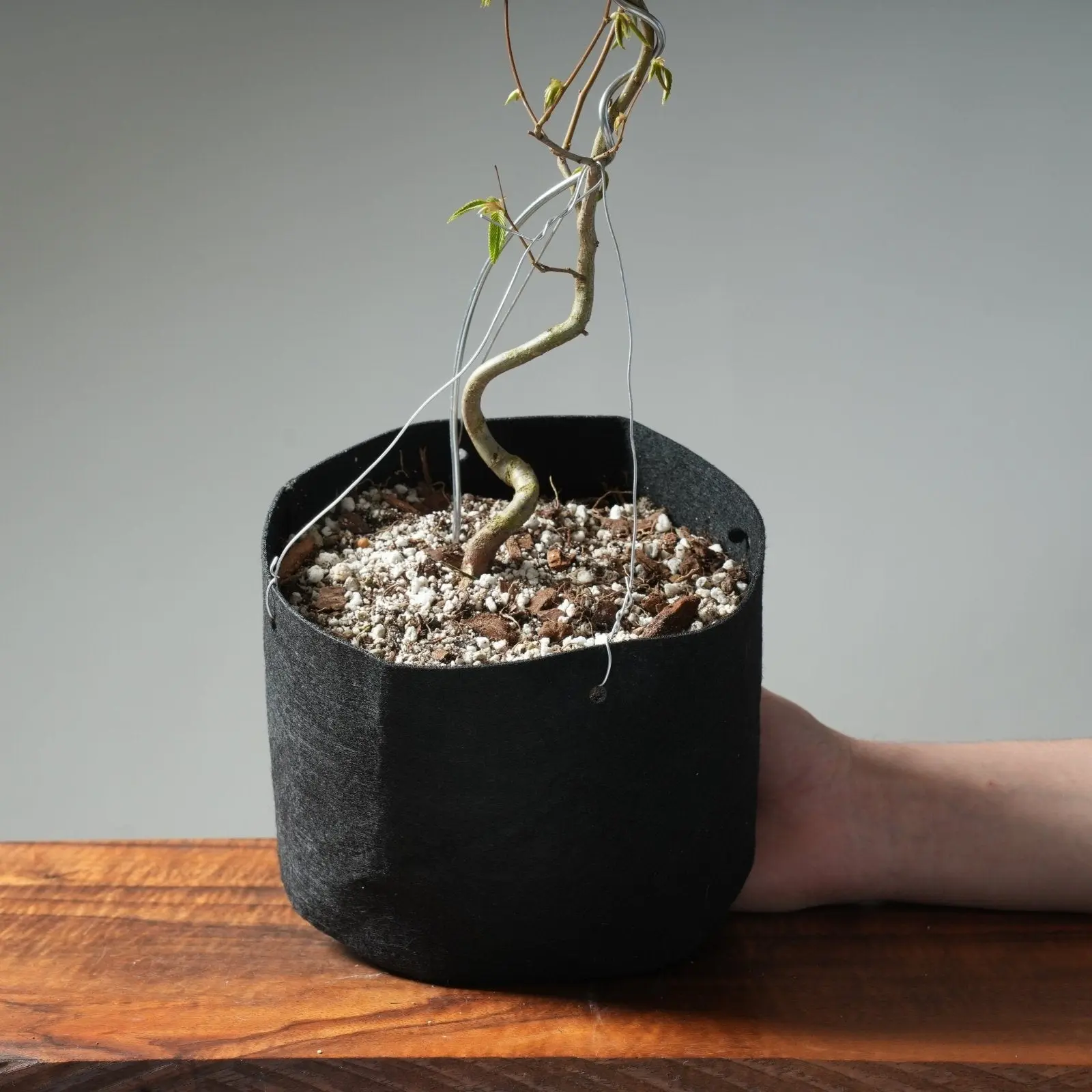 Soft-Sided Grow Bags