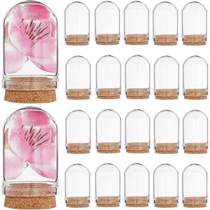 20 Sets Cloche Dome Mini Display Bell Jar with Cork Base 1.43Inch Terrarium Container Stand Cover Case Clear Decorative Case for Small Figurine Flower Wedding Christmas