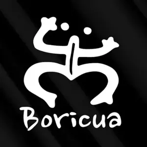 BORICUA PUERTO RICAN PUERTO RICO VINYL DECALS FOR CARS TRUCKS LAPTOP TABLETS AND MORE 4”