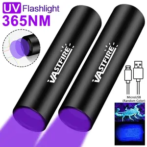 2Pcs Mini 365NW UV Blacklight, LED Flashlight Built-in USB Rechargeable Battery, Ultraviolet Invisible Ink Marker Resin Curing Torch, Cat Dog Pets Stain Tinea Leakage Marker Ore Money Scorpion Fluorescence Detection Lamp