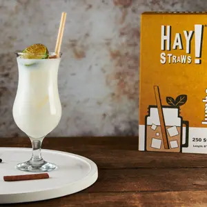 Wrapped Jumbo Straws by HAY! Straws | 250 Pack of Compostable Drinking Straws | Tall 8" Length