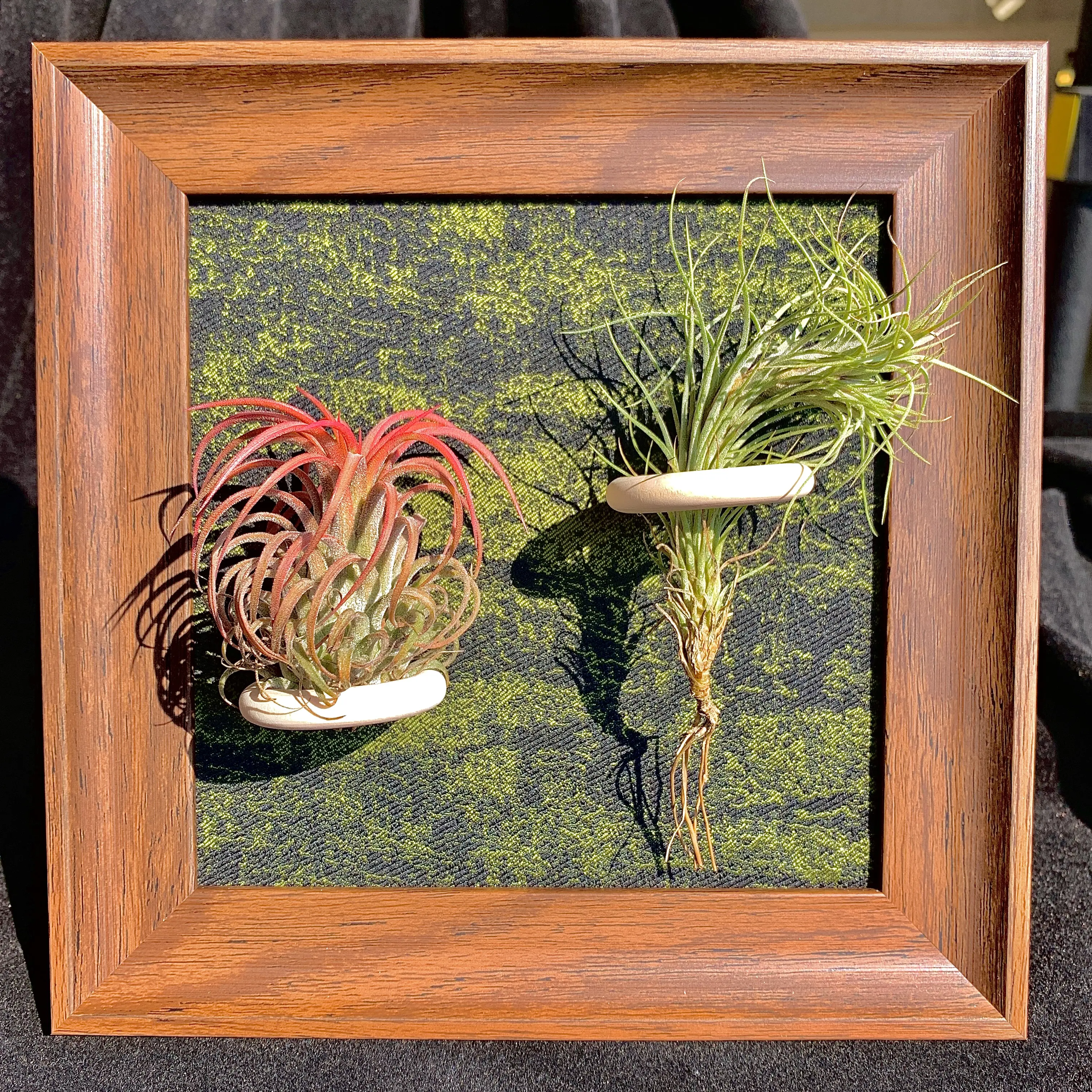 Green Frame -6"Plant (Floral EIF+Fox Tail Grass)