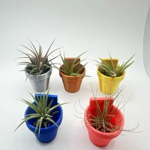 Magnetic Wall Planter | Pet decor | Terrariums | Jumping Spider