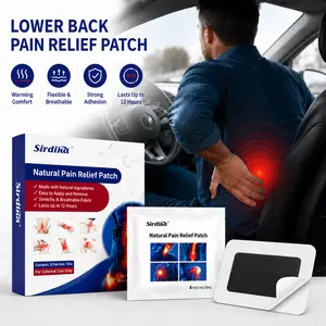 Sirdika Lower Back Pain Relief Patch for Driving, Long Standing & Work Shift – Strong Adhesion Warming Comfort Patch