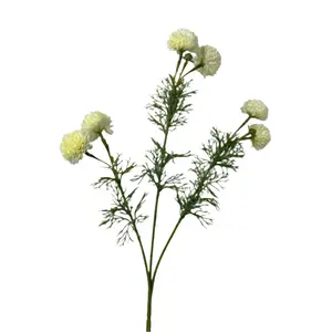 Ivory Chrysanthemum Stem