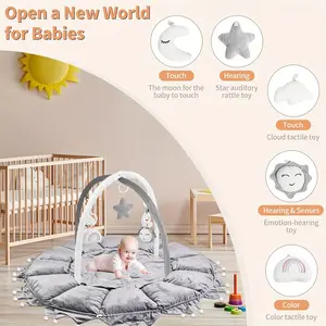 5-in-1 Convertible Baby Play Gym with 6 Toys, Tummy Time Mat for Sensory Development, Baby Activity Center from Newborn to Toddler, Ball Pit, Cat & Dog Bed, Soft Plush Pet Bed, No Ball Included