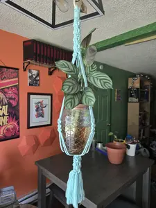Chunky Macrame Plant Hanger