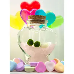 Heart Terrarium with Two Nano Moss Ball Pets