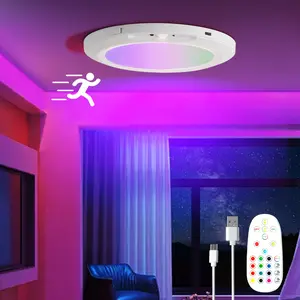 Rechargeable Motion Sensor Ceiling Light with Remote, RGB Color Changing Wireless Flush Mount Light for Bedroom Hallway Closet