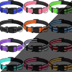 Personalized Small Dog Collars- 10"-13.5” In- High Visibility dog collar puppy pet collar