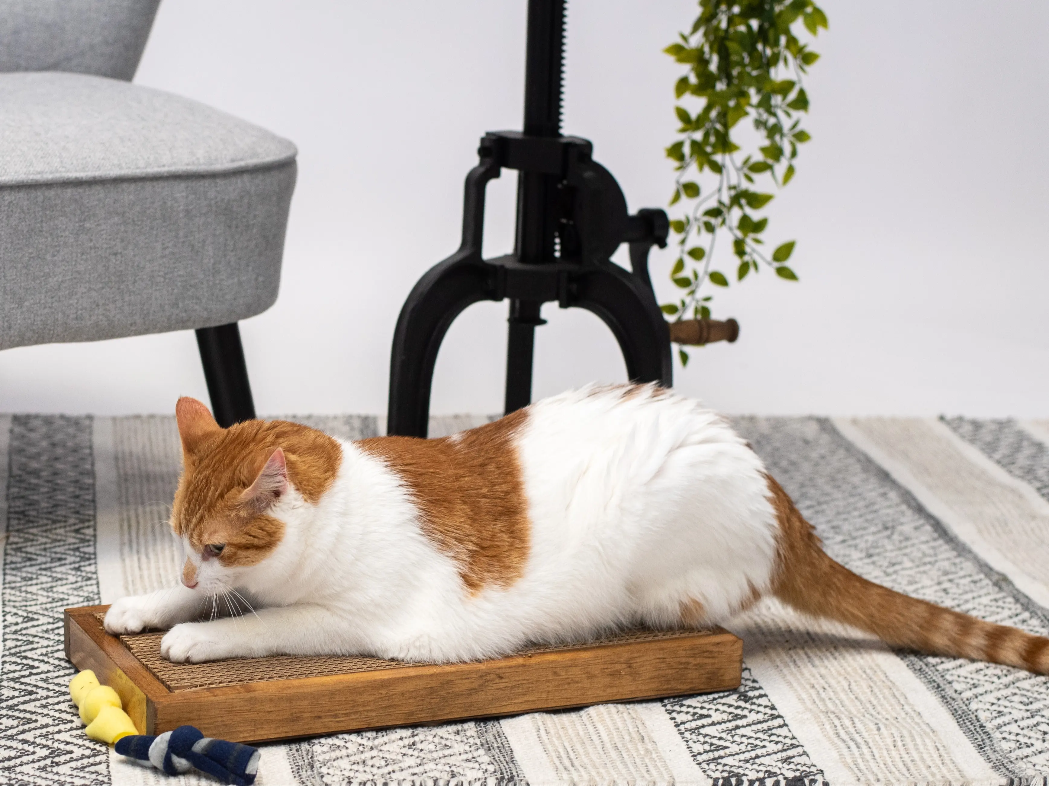 Double Wide Cat Scratcher