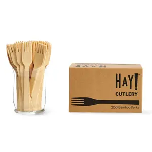 Compostable & Disposable Forks | Unwrapped Bamboo Cutlery By HAY! Straws | 250 Pack of wooden cutlery