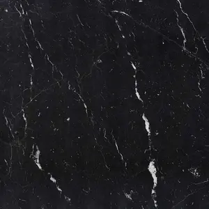 Nero Marquina 24×24 Polished/Honed Marble Tile Sample
