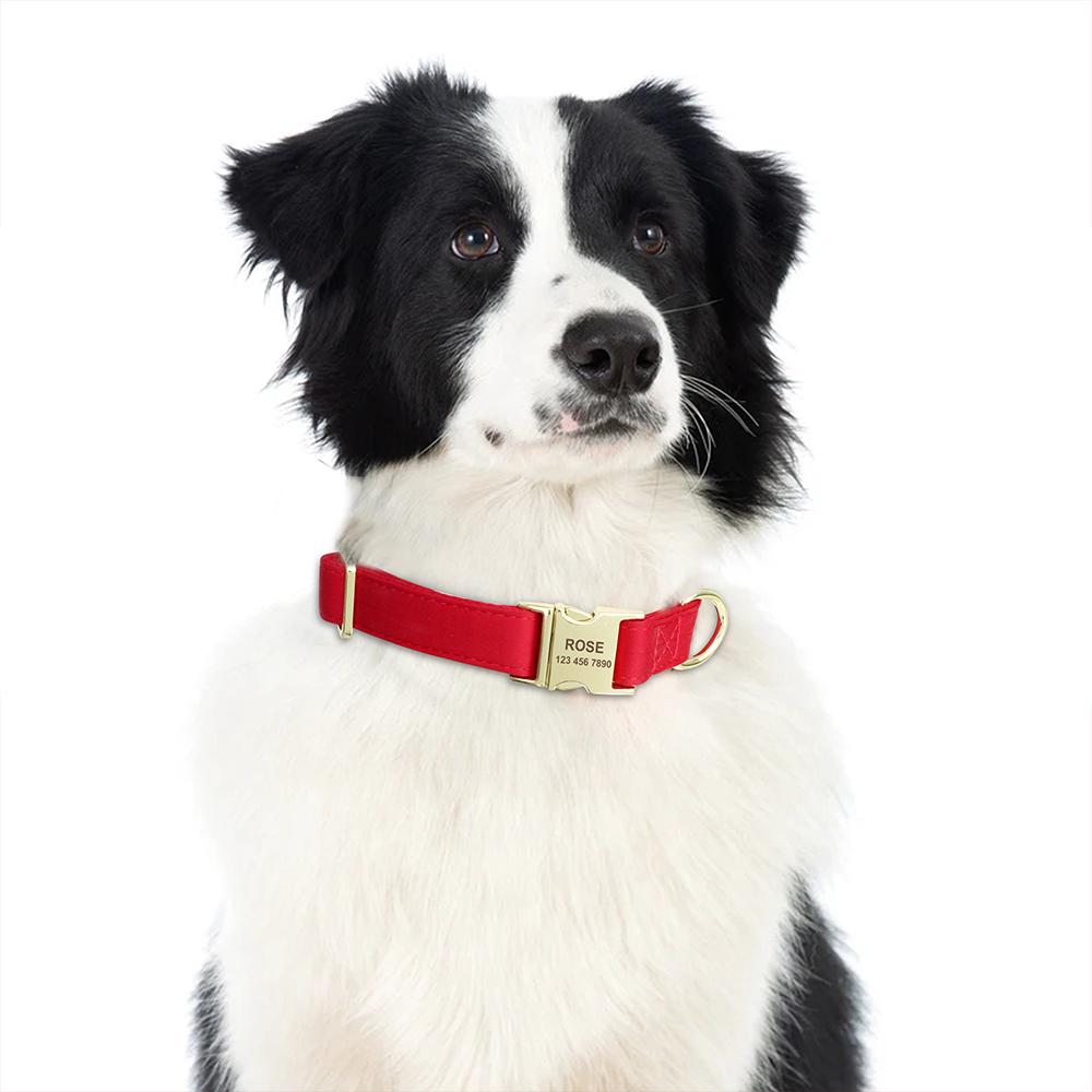 Engraved Dog Pet Collar Custom Puppy Kitten ID Tag Accessories Collar Personalized Nameplate Collars For Dogs Cats Chiens XS-L