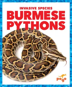 USED Book - Burmese Pythons by Klepeis, Alicia Z. (Paperback) - english