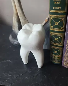 Tooth Sphere Stand