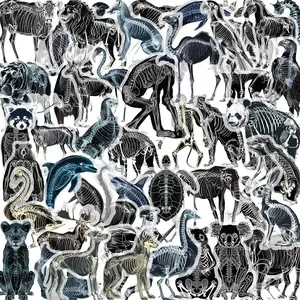 50 Pcs X-Ray Skeleton Stickers, Animal Anatomy Cartoon Decorations, Vet Student Room DIY Wall Decals, Luggage Phone Notebook Posters