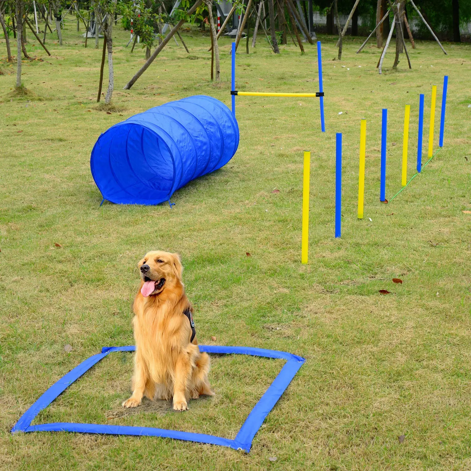 Backyard Pet Obstacle Course With Travel Bag