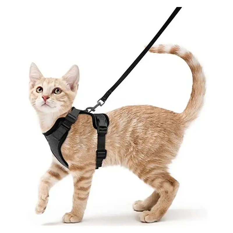 Escape-Proof Cat Harness and Leash Set - Super Soft, Adjustable Vest with Breathable Mesh, Reinforced Safety Clip - 5-foot Lightweight Leash with Quick-release Connector