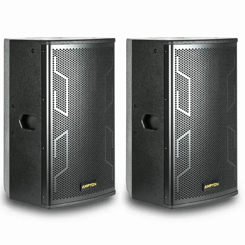 Ampyon LS-12ES Professional Karaoke Speaker