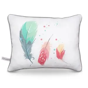 Feathers Print Pillow