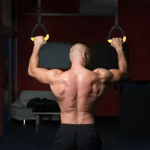 Vigorous adjustable anti-skid gymnastics ring comfortable grip precise adjustment strap pull arm strength whole body fat burning training home outdoor dual-use durable gymnastics fitness good partner