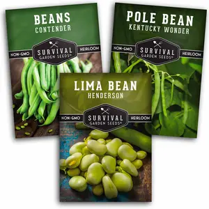 Bean Seed Collection - 3 Prolific Varieties Bean Seed Collection - 3 Prolific Varieties
