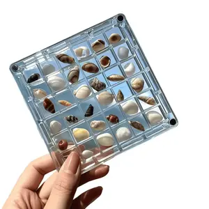 Creative Transparent Acrylic Shell Storage Box, Perfect for Collecting Beach Stones and Shells, Magnetic Display Case for Unique Decor