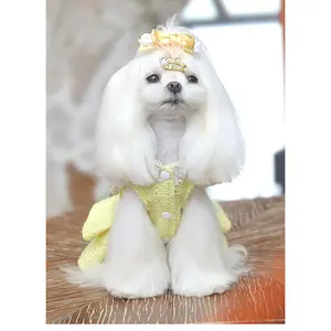 Valentine‘s Day Autumn Winter Celebrity Princess Dress, Warm Pet Clothes for Maltese & Poodle Small Breeds, Exclusive Small Fragrance Style Dog Apparel