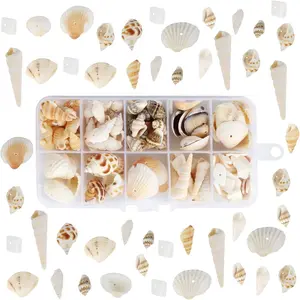 150 Pieces of Perforated Mixed Seashells - Beach Party Decorations, DIY Jewelry, Wedding Decorations, Aquarium and Vase Fillings - Perfect for Candle Making and Creative Projects, Shell Jewelry