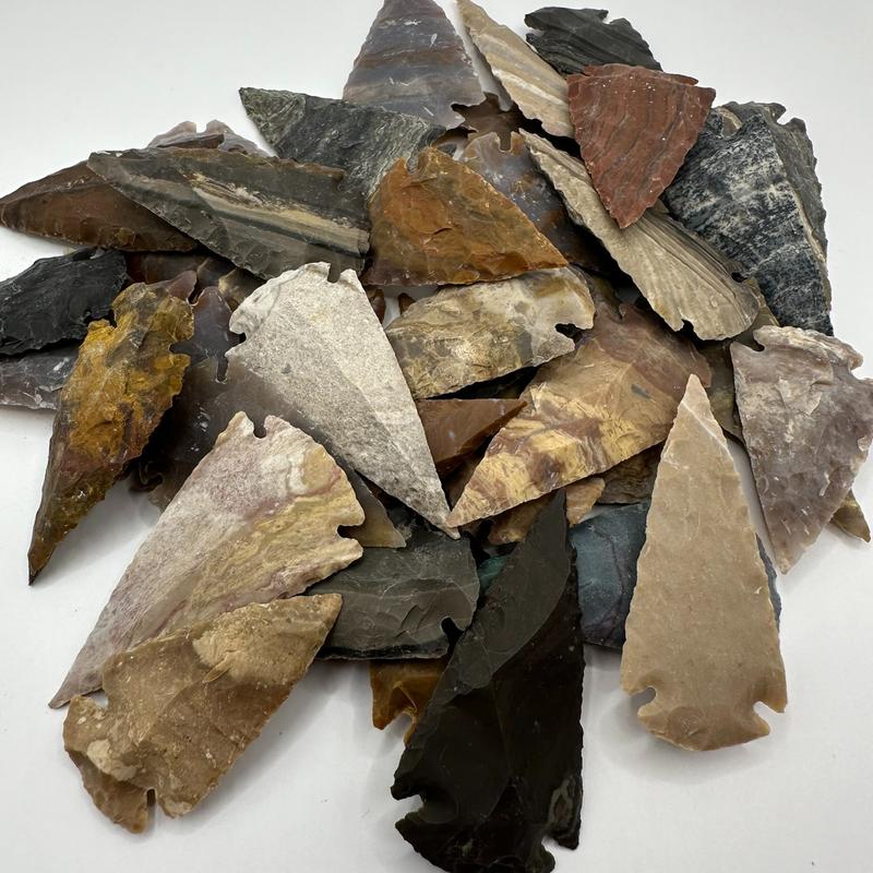 Fossil Mining Bucket - Gallon Bucket - 10-12 lbs Total - Over 12 Different Types of Fossils and Natural Crystals