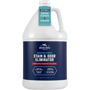 Supply Co. Stain & Odor Eliminator for Strong Odor - Enzyme Pet Odor Eliminator for Home - Carpet Stain Remover for Cats & Dog Pee - Enzymatic Cat Urine Destroyer - Carpet Cleaner Spray