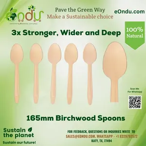 Heavy Duty Spoons