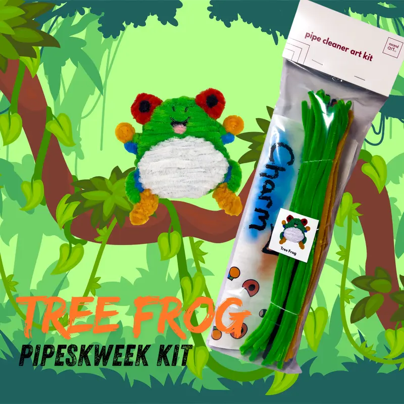 Tree Frog PipeSkweek Pipe Cleaner Craft Kit