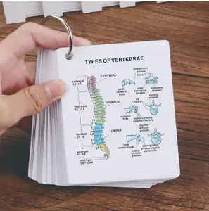 Anatomical Study Flashcards, Front & Back Views, Medical Learning Guide for Students Doctors Nurses, Skeletal System Diagrams, Nursing Flashcards