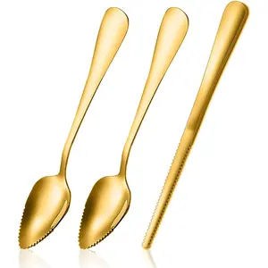 Grapefruit Spoon  Serrated Edge Stainless Steel Grape fruit Utensil Tool Dessert Spoons for Citrus  Kiwi Salads Melon Lime Pitaya  Fruit Puree (3)