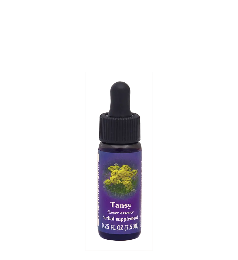 FES Tansy Flower Essential Essence - Therapeutic Herbal Single Alternative Medication, Healthcare Support for Purposeful in Action, Self-Directed Mastery Individuals