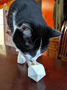 D20 Cat Toy And Treat Dispenser. Let your Cat Roll that D20 and see if he can score a treat roll!