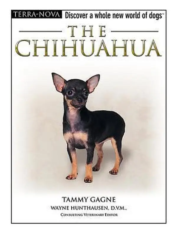 USED-The Chihuahua [With Dog Training DVD] by Gagne, Tammy (Hardcover)