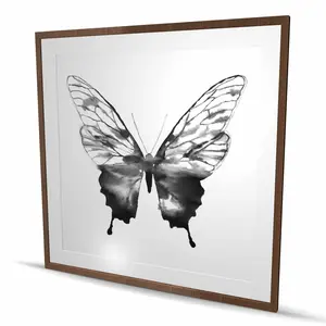 Begin Home Decor C1FM4848W3NDTM 48 x 48 in. Black Butterfly Sketch - Framed Matted Print Wall Art for Home Decor
